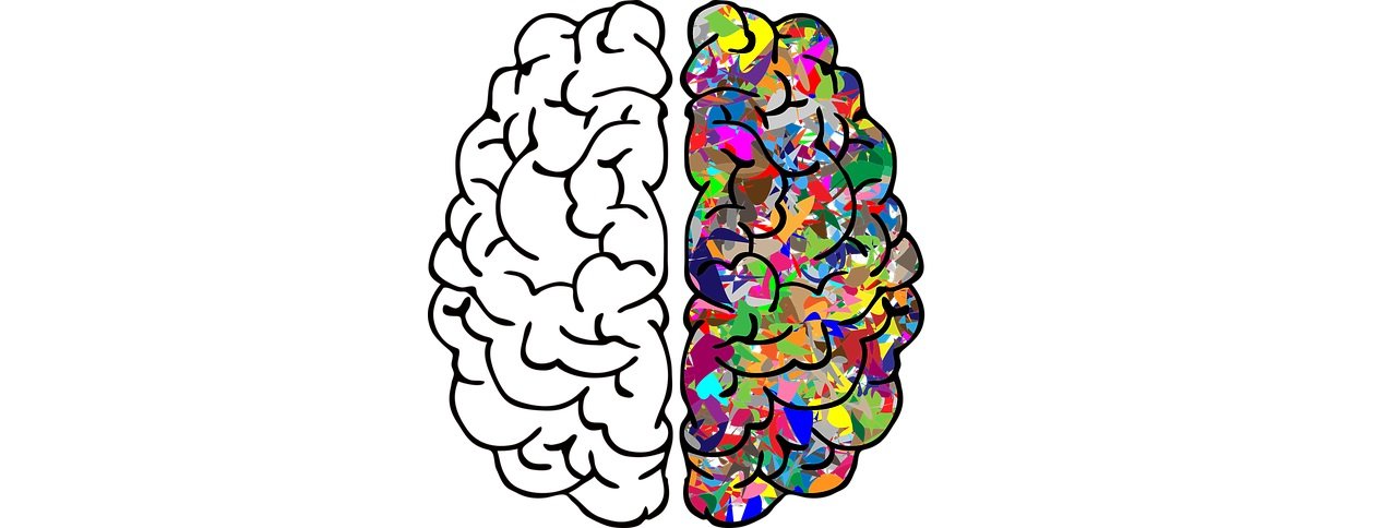 Ilustracija mozga u kojoj je lijeva polutka crno-bijela, a desna šarena.