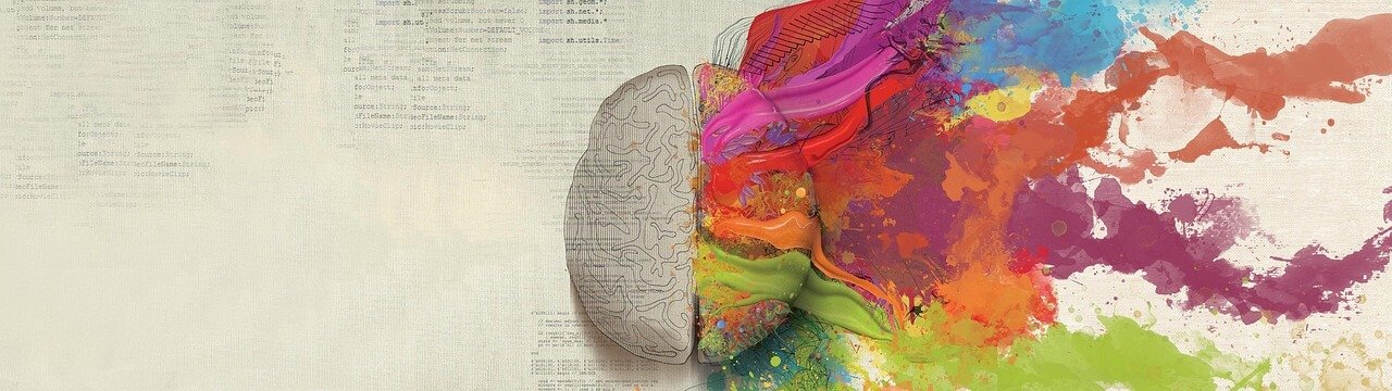 Lijeva i desna polutka mozga.